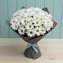 Букет цветов из:  Хризантемы #REPLACE_PRED# Поронайске