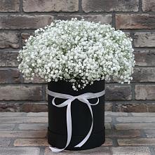 Цветочная композиция из Гипсофила в шляпной коробке в Поронайске