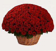 Премиум букет из: Розы #REPLACE_PRED# Поронайске